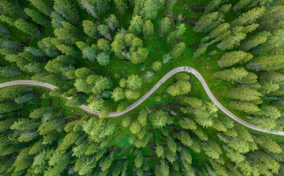Laravel Routing Deep Dive: A Complete Guide